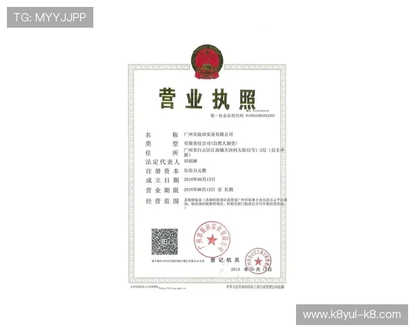 凯发体育官网平台网址最新入口，安全稳定的官方登录地址推荐