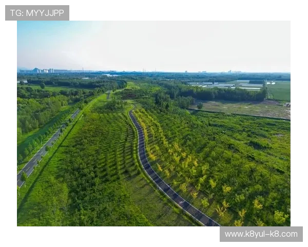 凯发娱乐在线积极响应国家号召,推动绿色健康网络娱乐生态建设 凯发娱乐在线积极响应国家号召,推动绿色健康网络娱乐生态建设