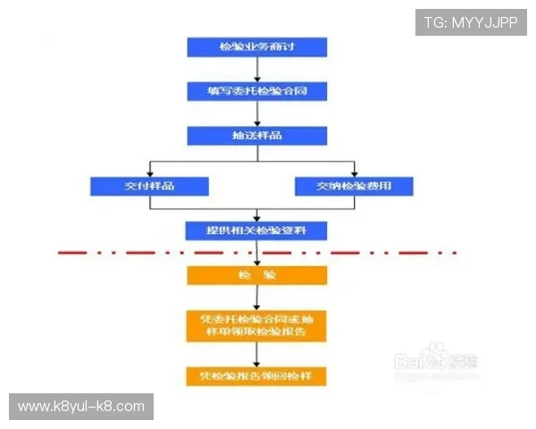 K8电子注册流程中的安全防护措施与账号保护建议